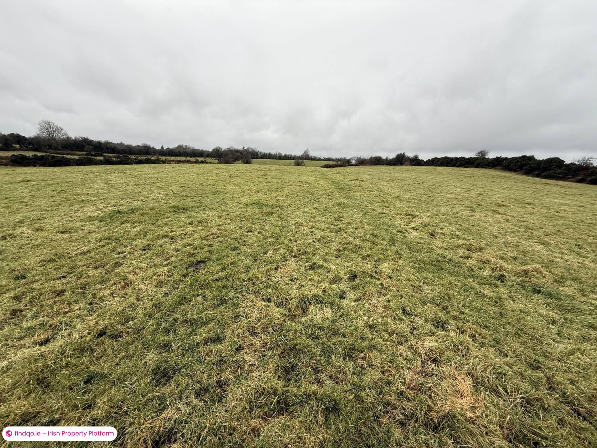 Property for Sale in Ballyhaunis, Mayo