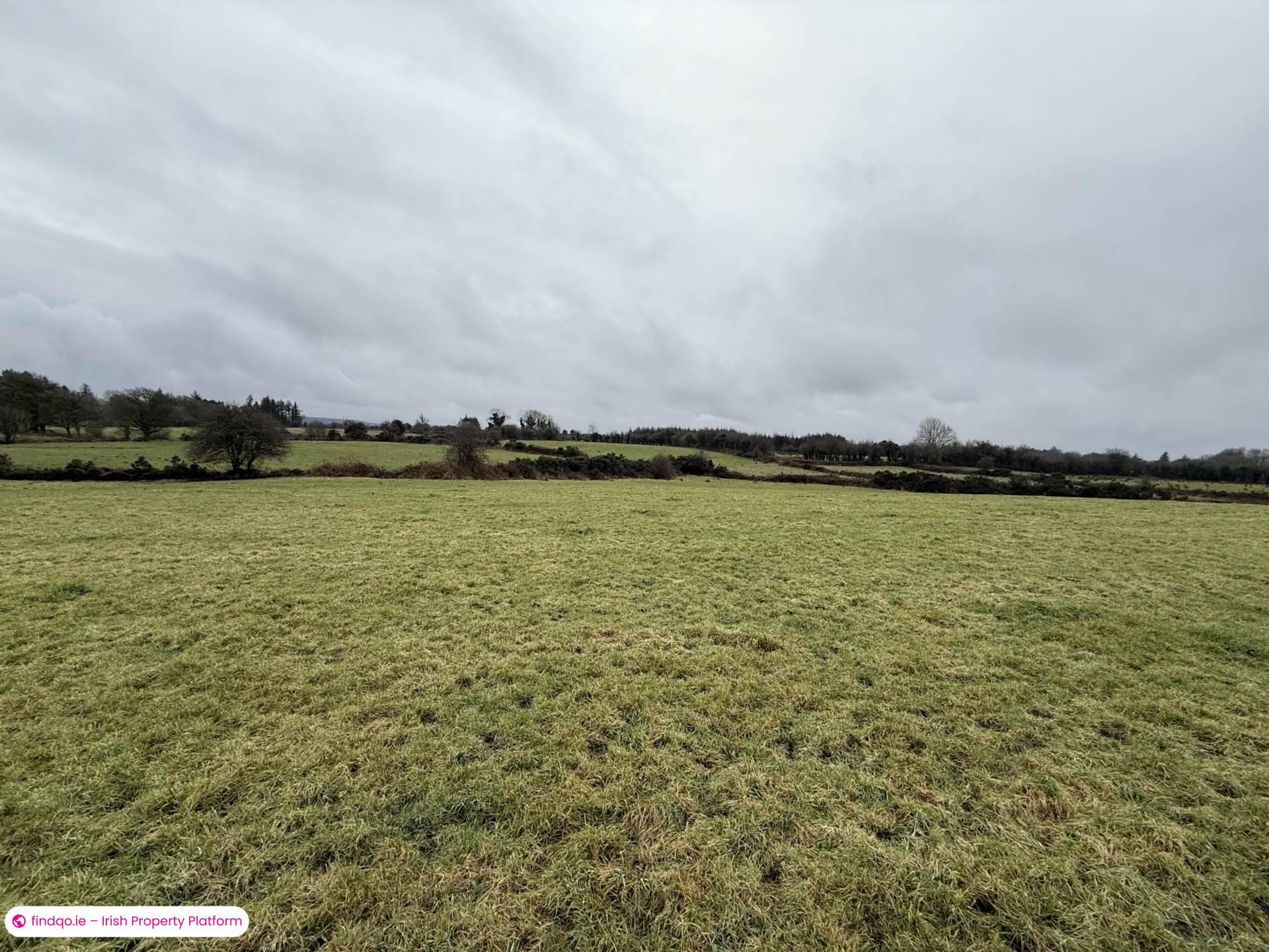 Property for Sale in Ballyhaunis, Mayo