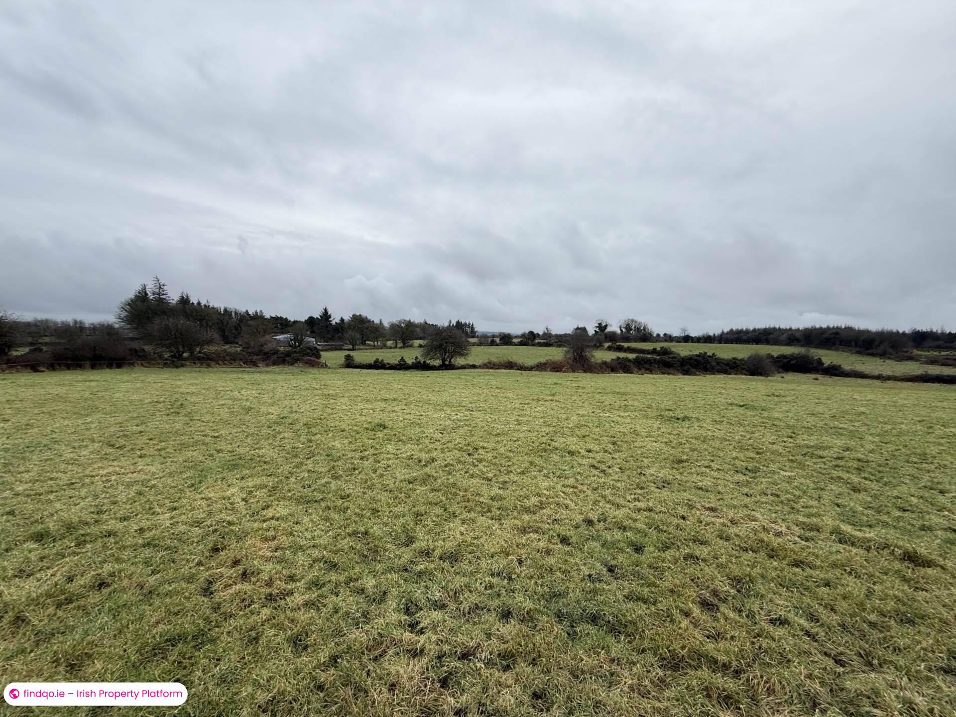 Property for Sale in Ballyhaunis, Mayo