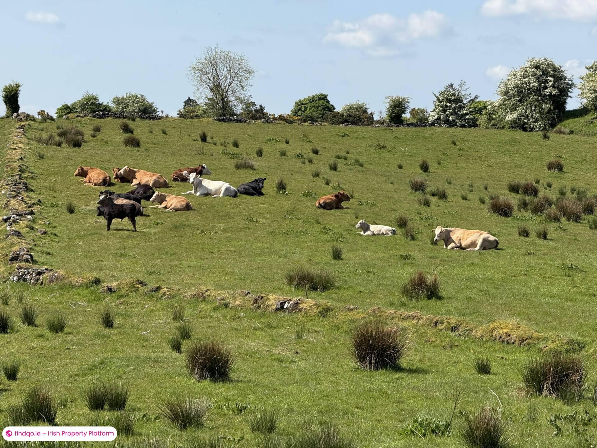 Site for Sale in Ballyhaunis, Mayo