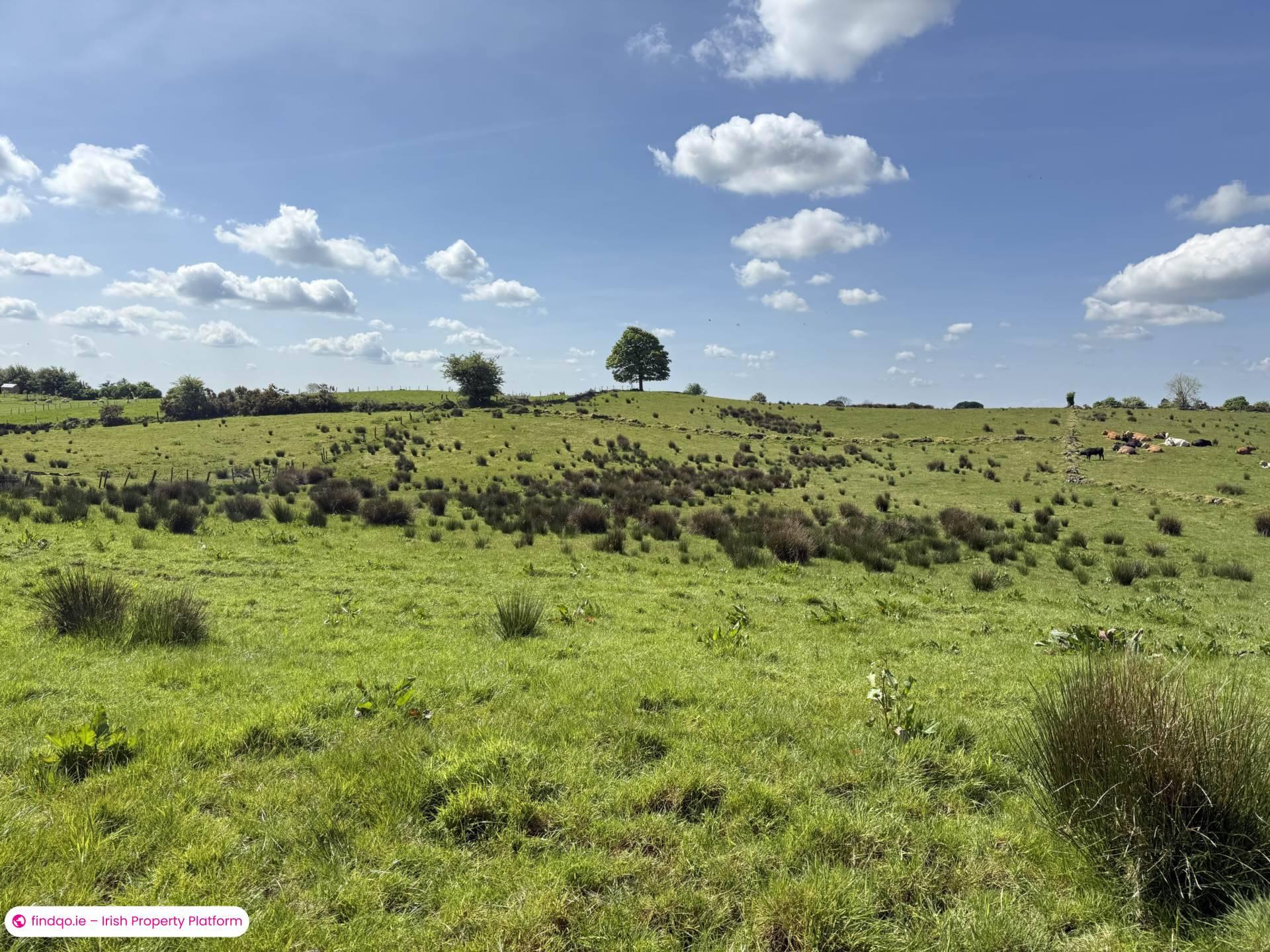 Site for Sale in Ballyhaunis, Mayo