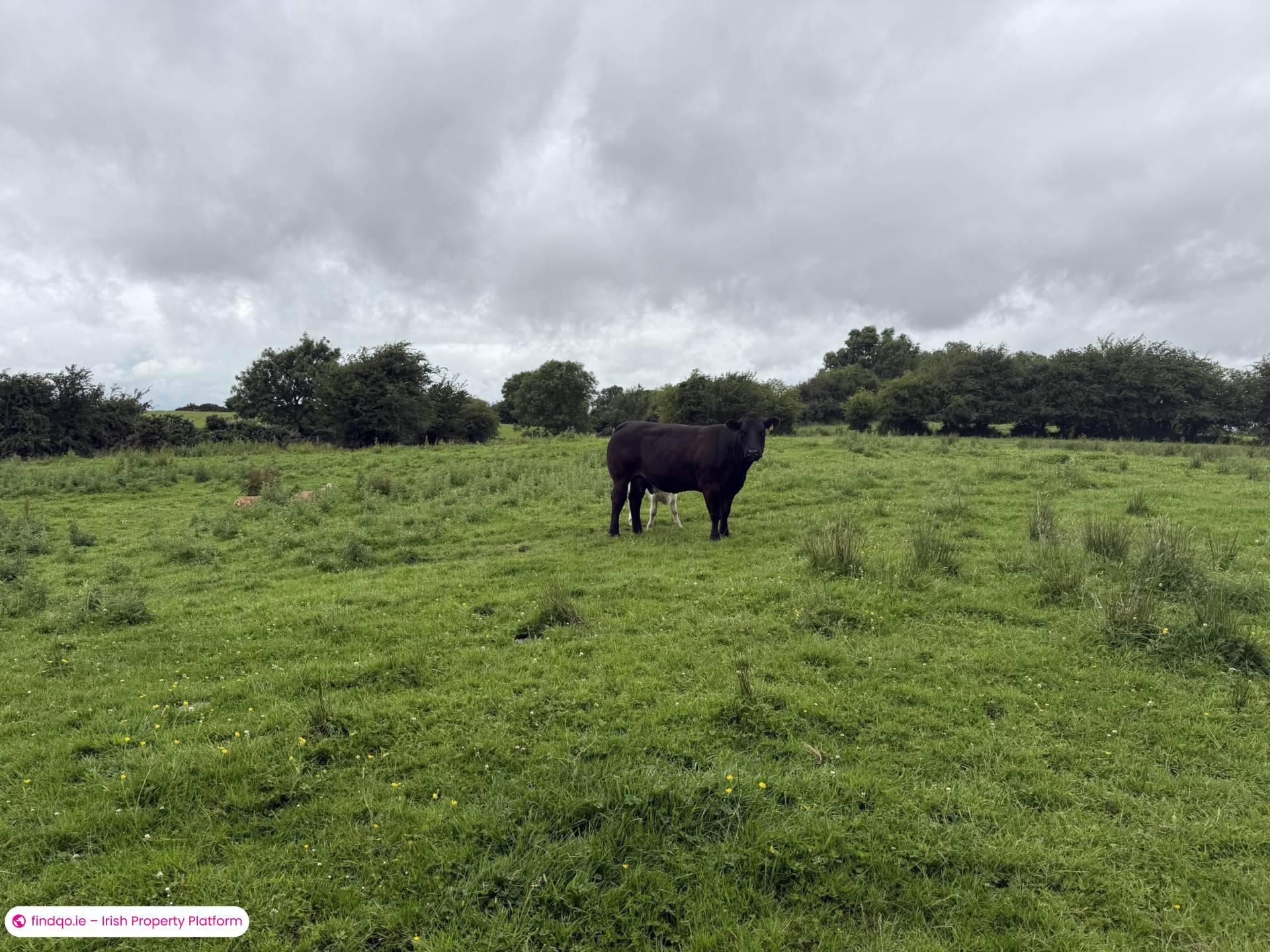 Bungalow for Sale in Claremorris, Mayo