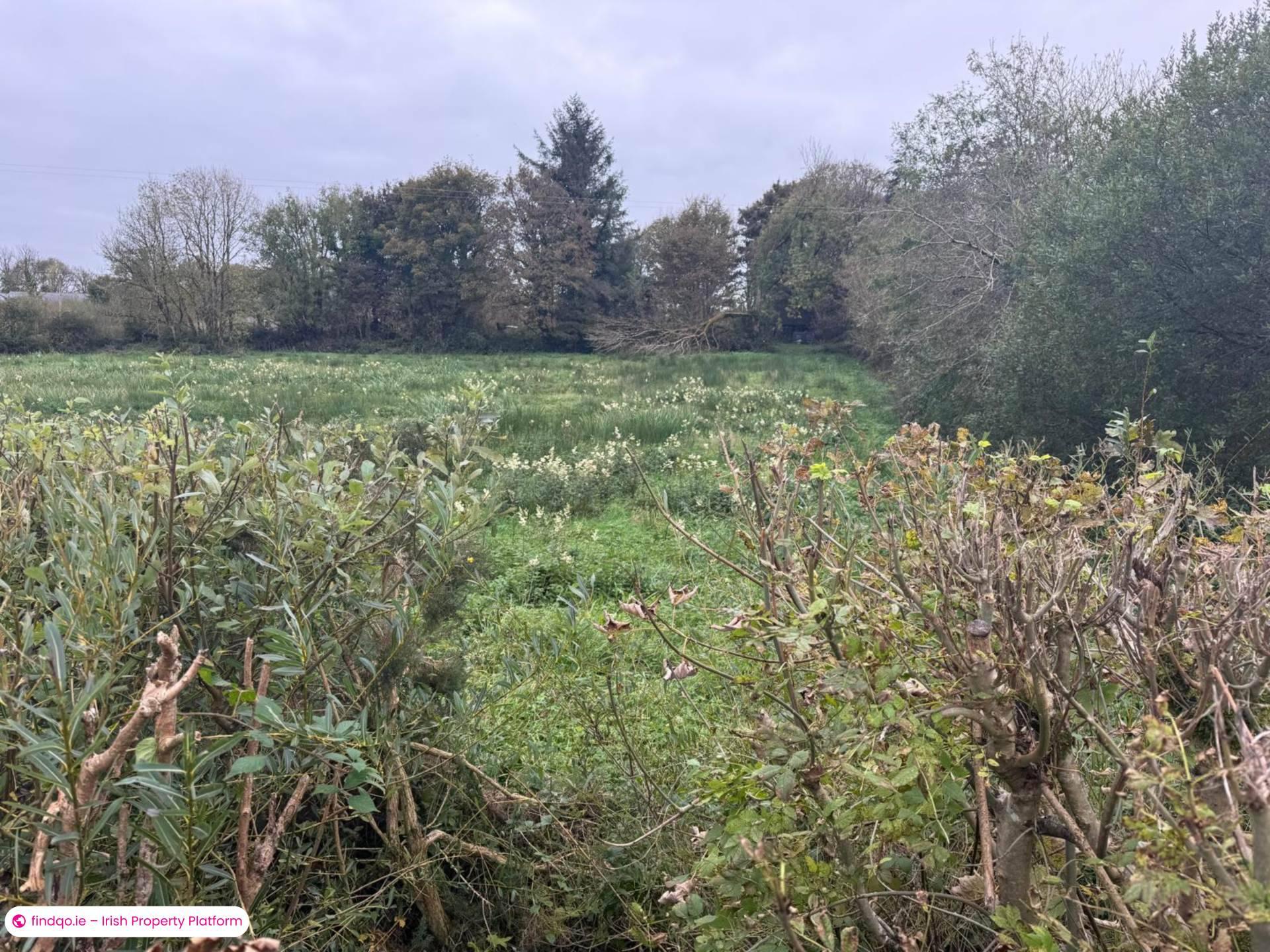 Commercial Site for Sale in Knock, Clare