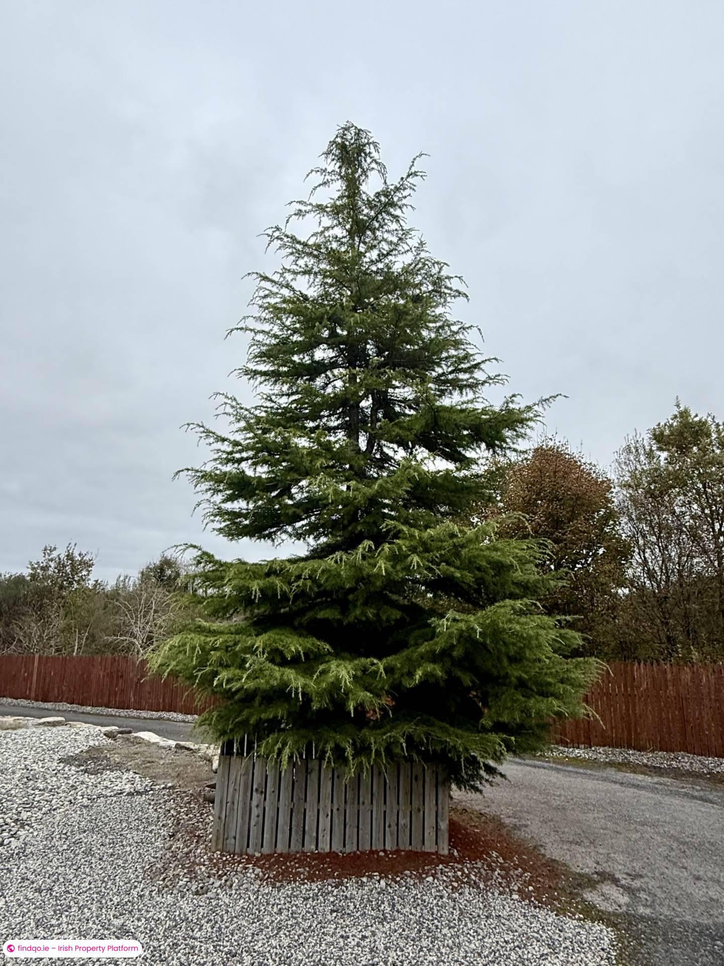 Detached house for Sale in Knock, Clare