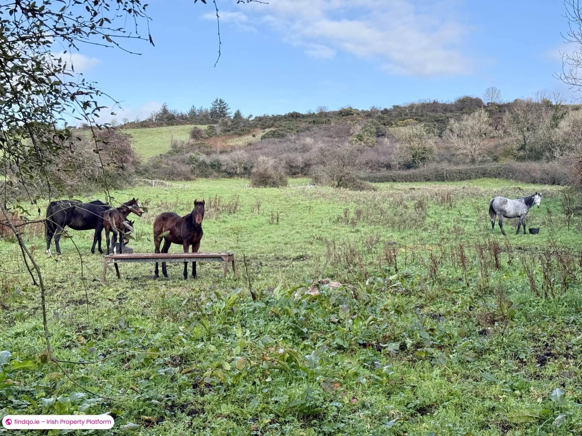 Detached house for Sale in Ballyhaunis, Mayo