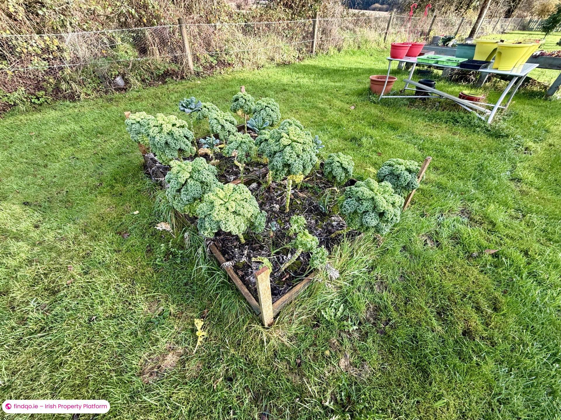 Bungalow for Sale in Loughglynn, Roscommon