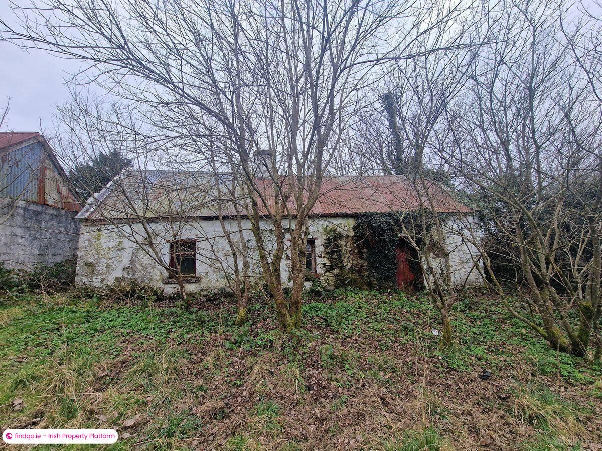 Detached house for Sale in Swinford, Mayo