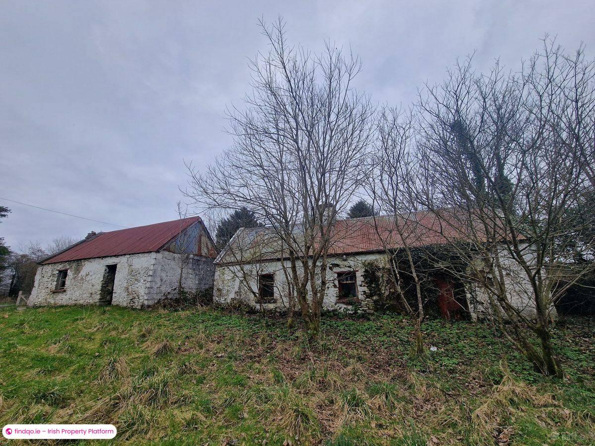 Detached house for Sale in Swinford, Mayo