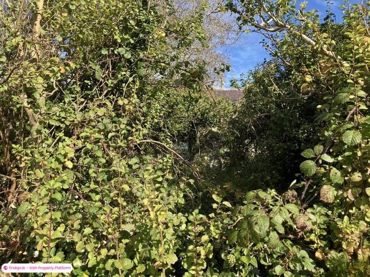 Detached house for Sale in Glinsk, Galway