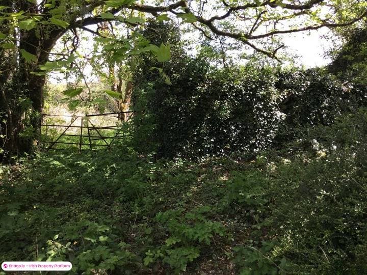 Detached house for Sale in Ballinlough, Roscommon