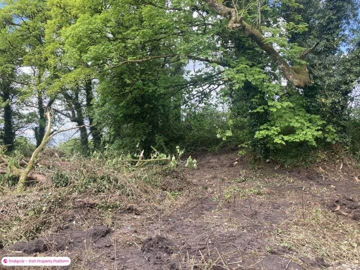 Detached house for Sale in Ballinlough, Roscommon