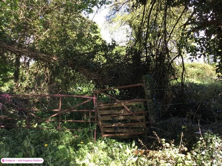 Detached house for Sale in Ballinlough, Roscommon