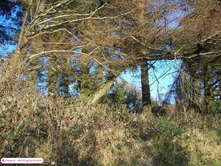 Agricultural Land for Sale in Cloonfad, Roscommon