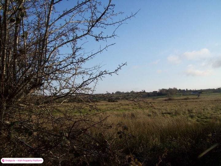 Agricultural Land for Sale in Cloonfad, Roscommon
