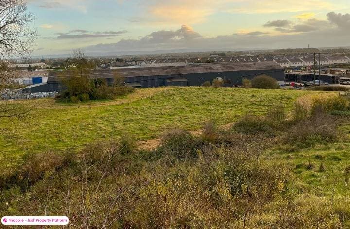 Agricultural Land for Sale in Tullamore, Offaly