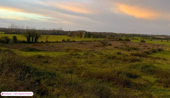 Agricultural Land for Sale in Tullamore, Offaly