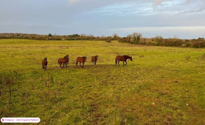 Agricultural Land for Sale in Tullamore, Offaly
