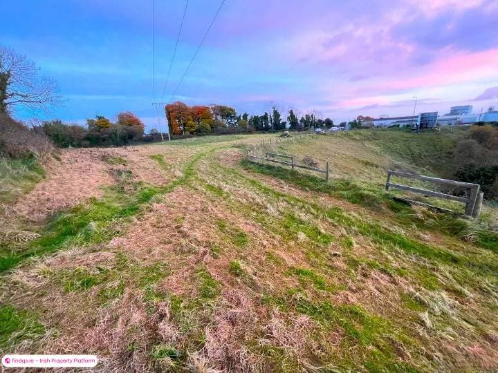 Agricultural Land for Sale in Tullamore, Offaly