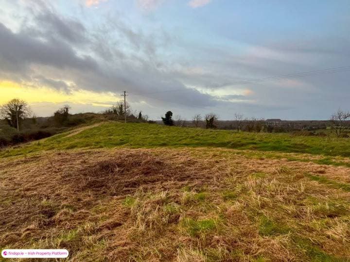 Agricultural Land for Sale in Tullamore, Offaly