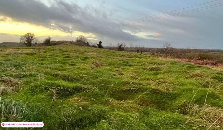 Agricultural Land for Sale in Tullamore, Offaly