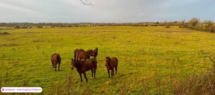 Agricultural Land for Sale in Tullamore, Offaly