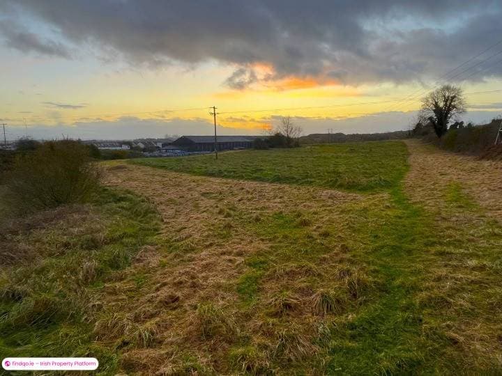 Agricultural Land for Sale in Tullamore, Offaly