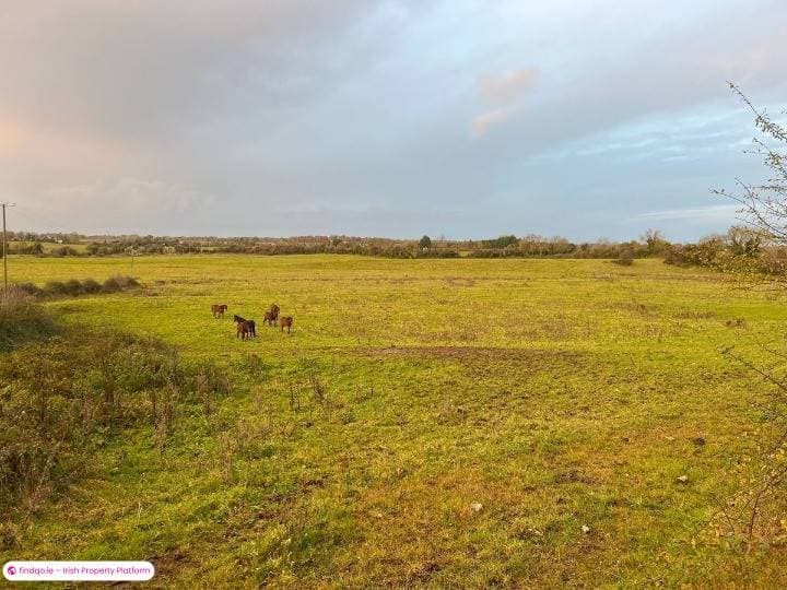 Agricultural Land for Sale in Tullamore, Offaly
