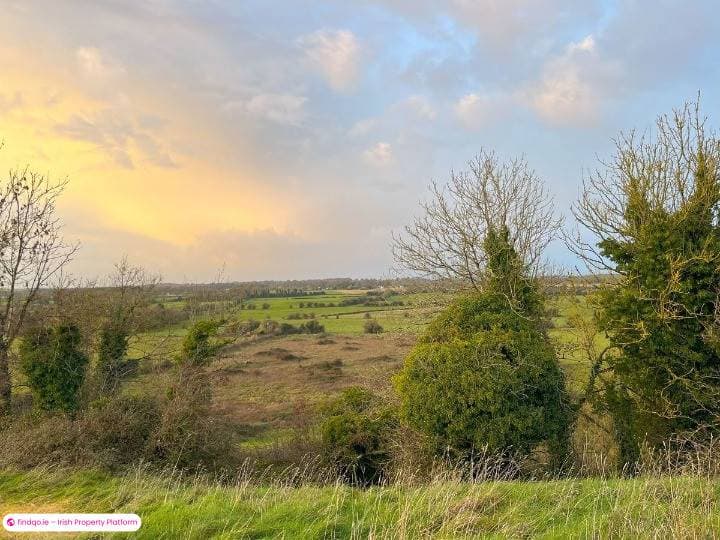 Agricultural Land for Sale in Tullamore, Offaly