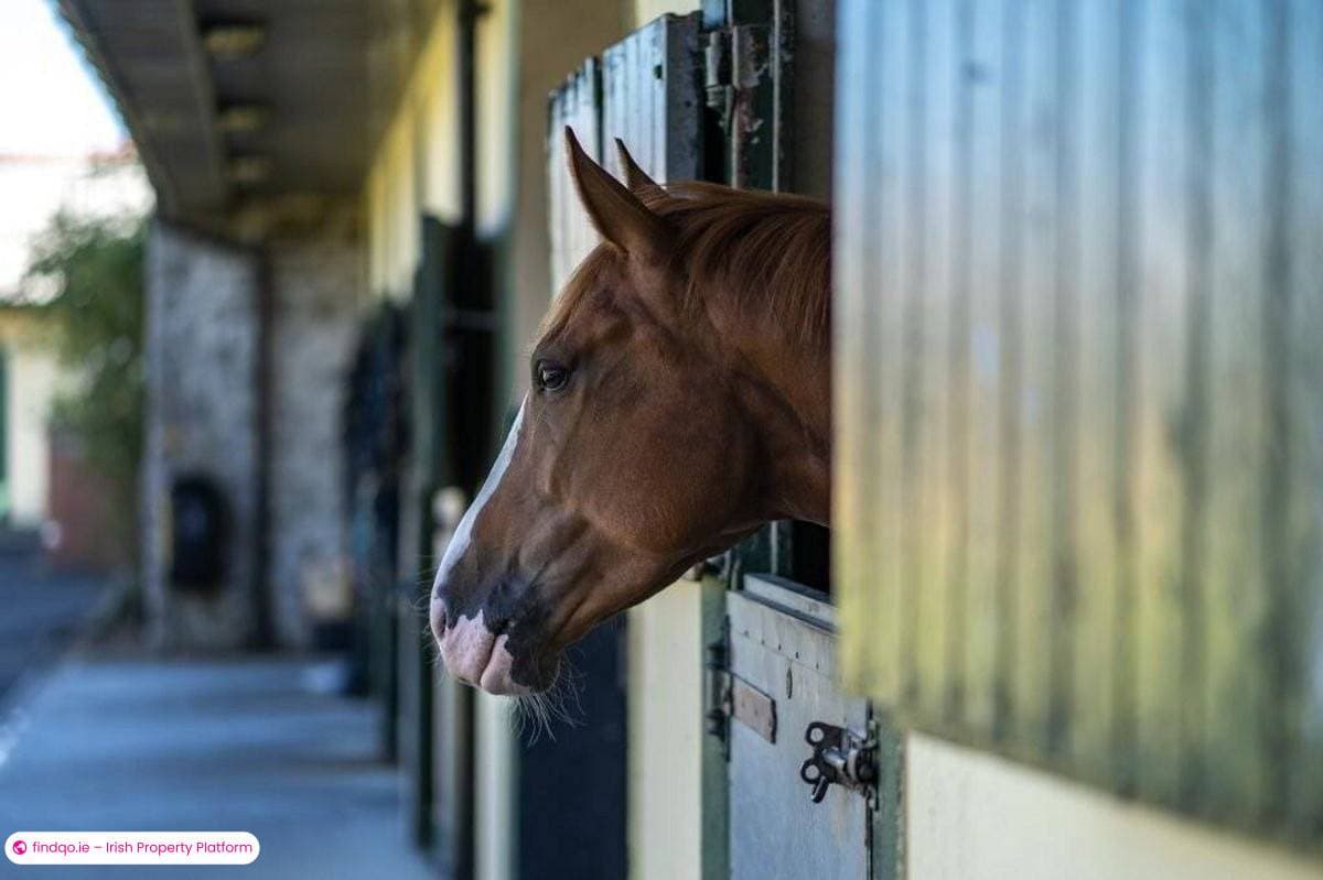 Detached house for Sale in Mallow, Cork