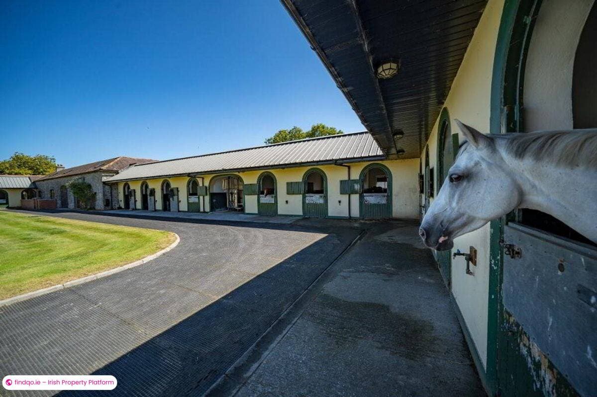 Agricultural Land for Sale in Mallow, Cork