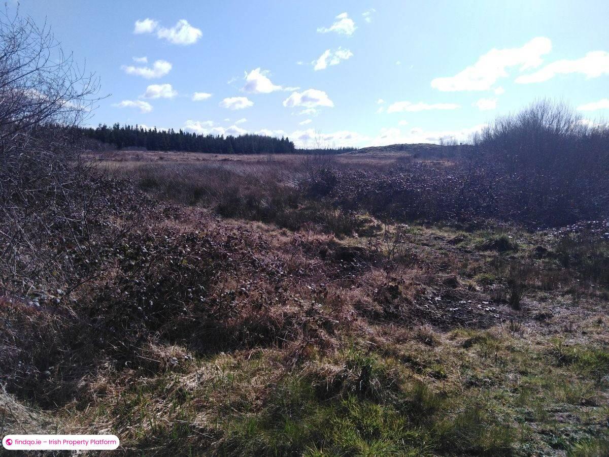 Site for Sale in Kilkelly, Mayo