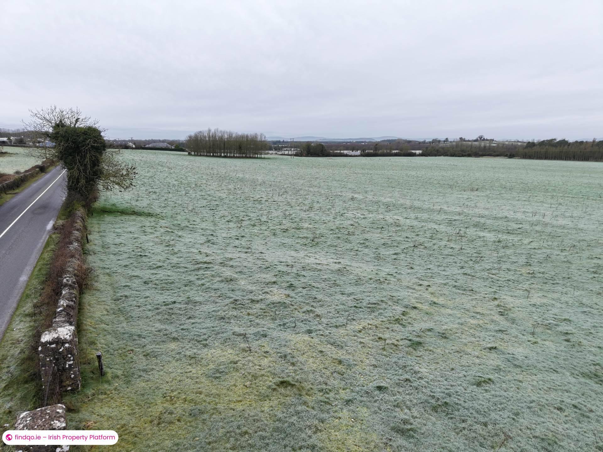 Agricultural Land for Sale in Killenaule, Tipperary