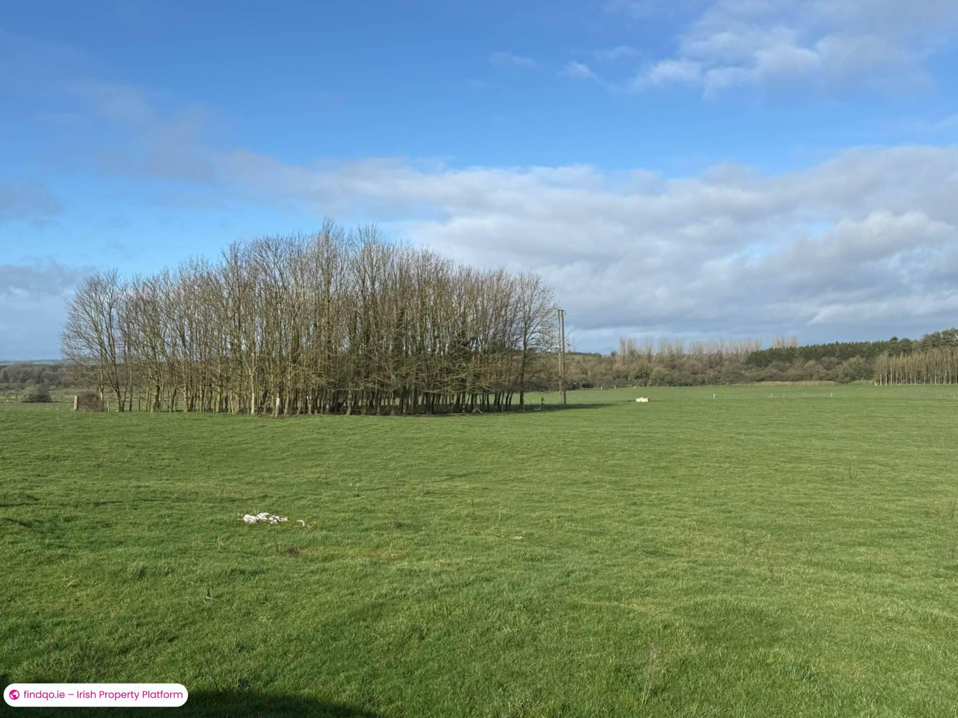 Agricultural Land for Sale in Killenaule, Tipperary