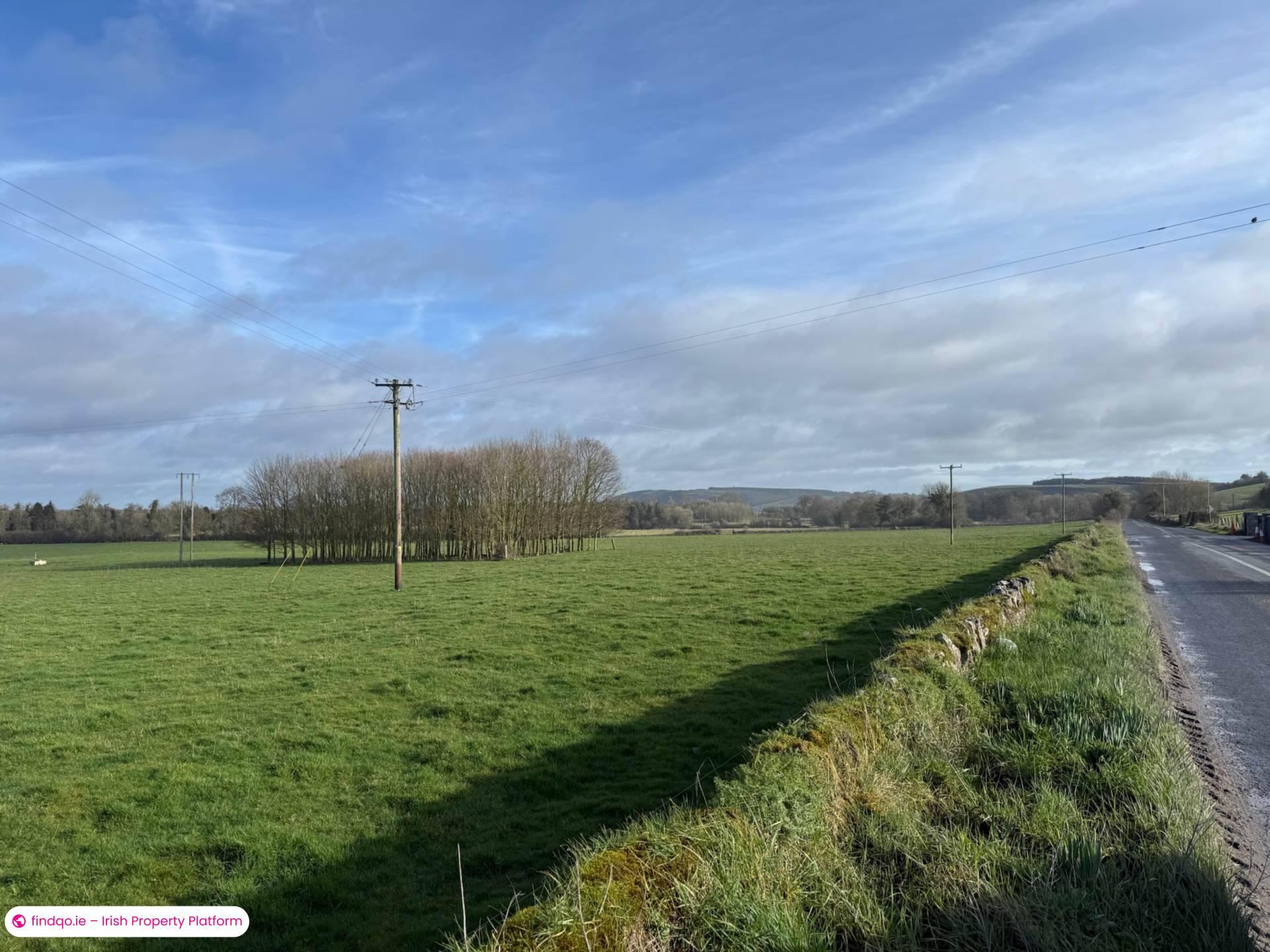 Agricultural Land for Sale in Killenaule, Tipperary