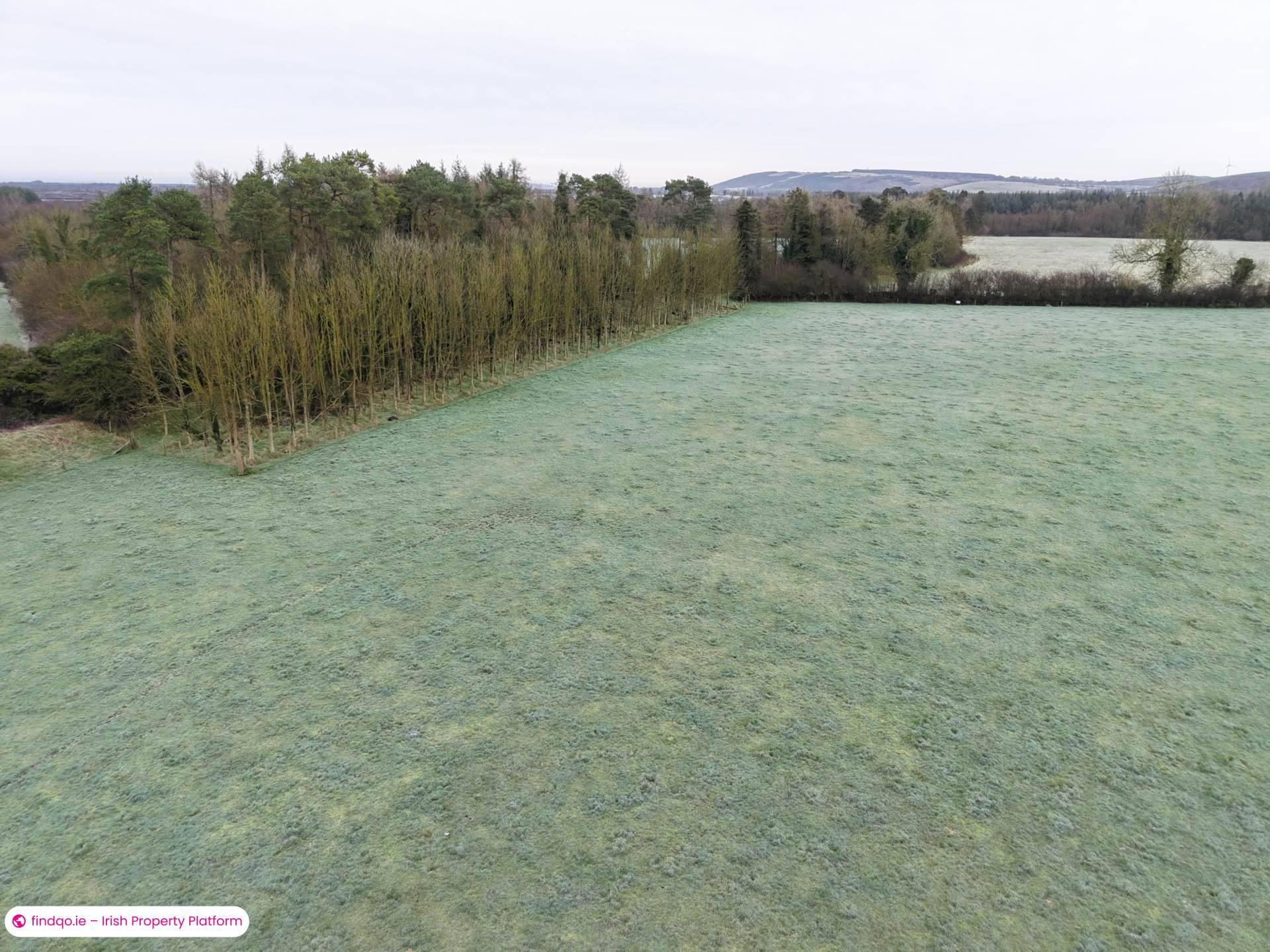 Agricultural Land for Sale in Killenaule, Tipperary