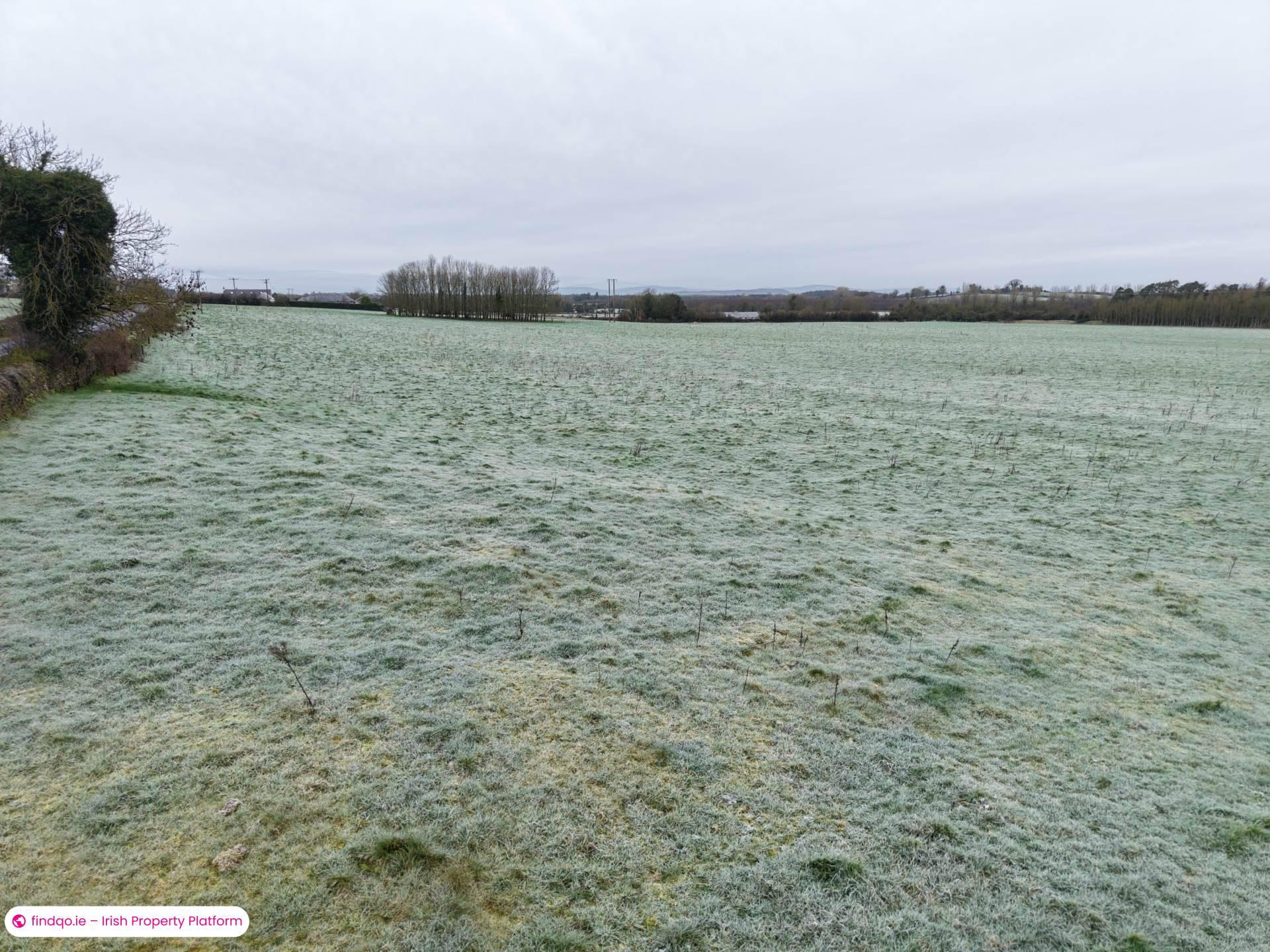 Agricultural Land for Sale in Killenaule, Tipperary