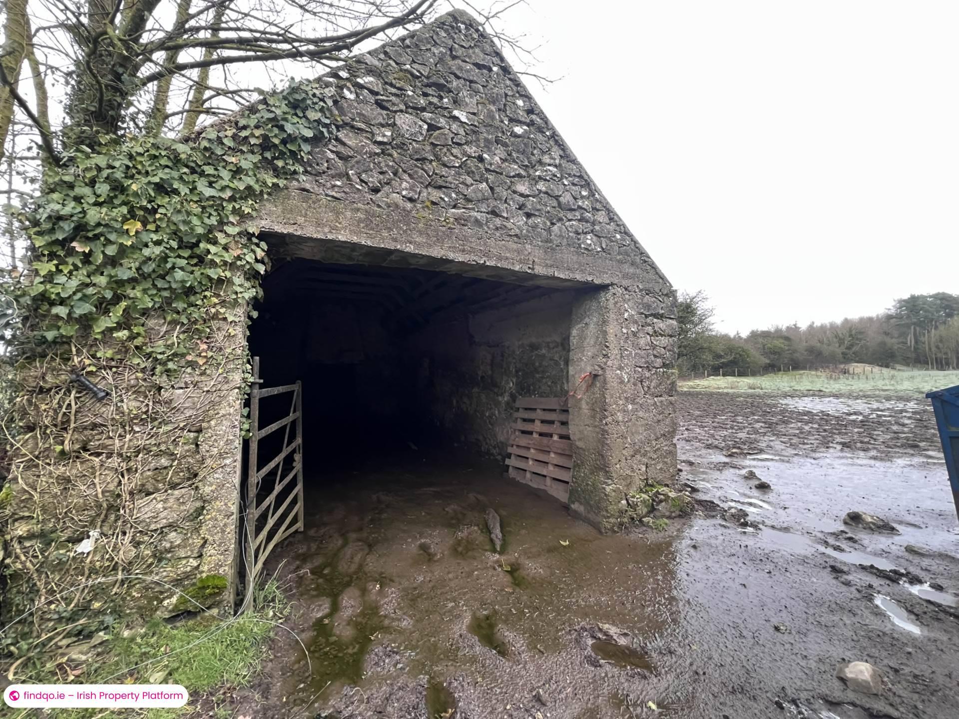 Agricultural Land for Sale in Killenaule, Tipperary