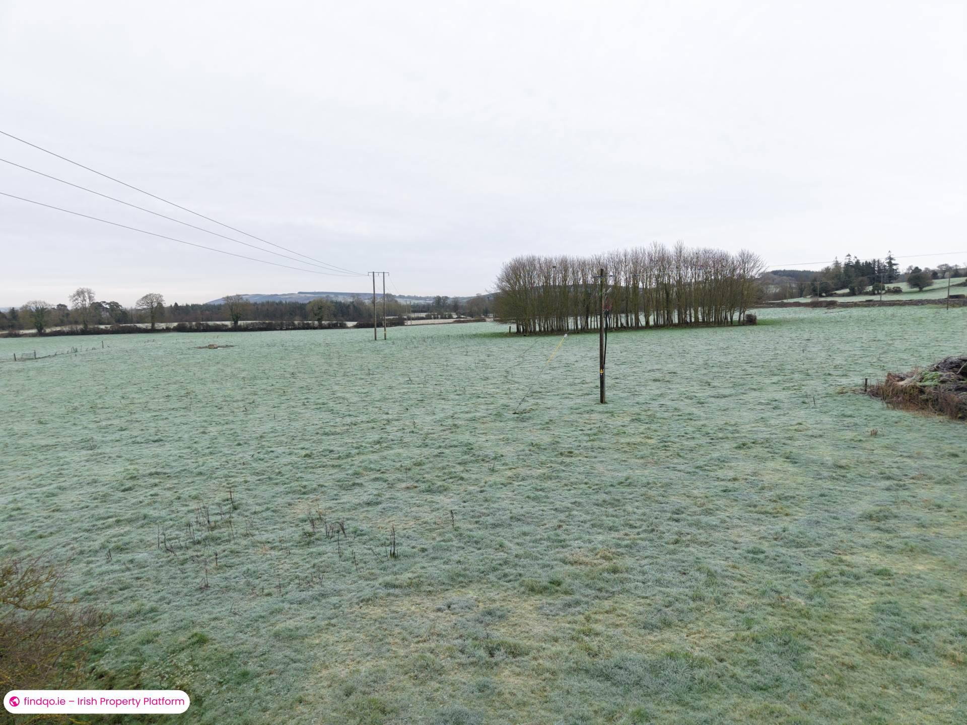 Agricultural Land for Sale in Killenaule, Tipperary