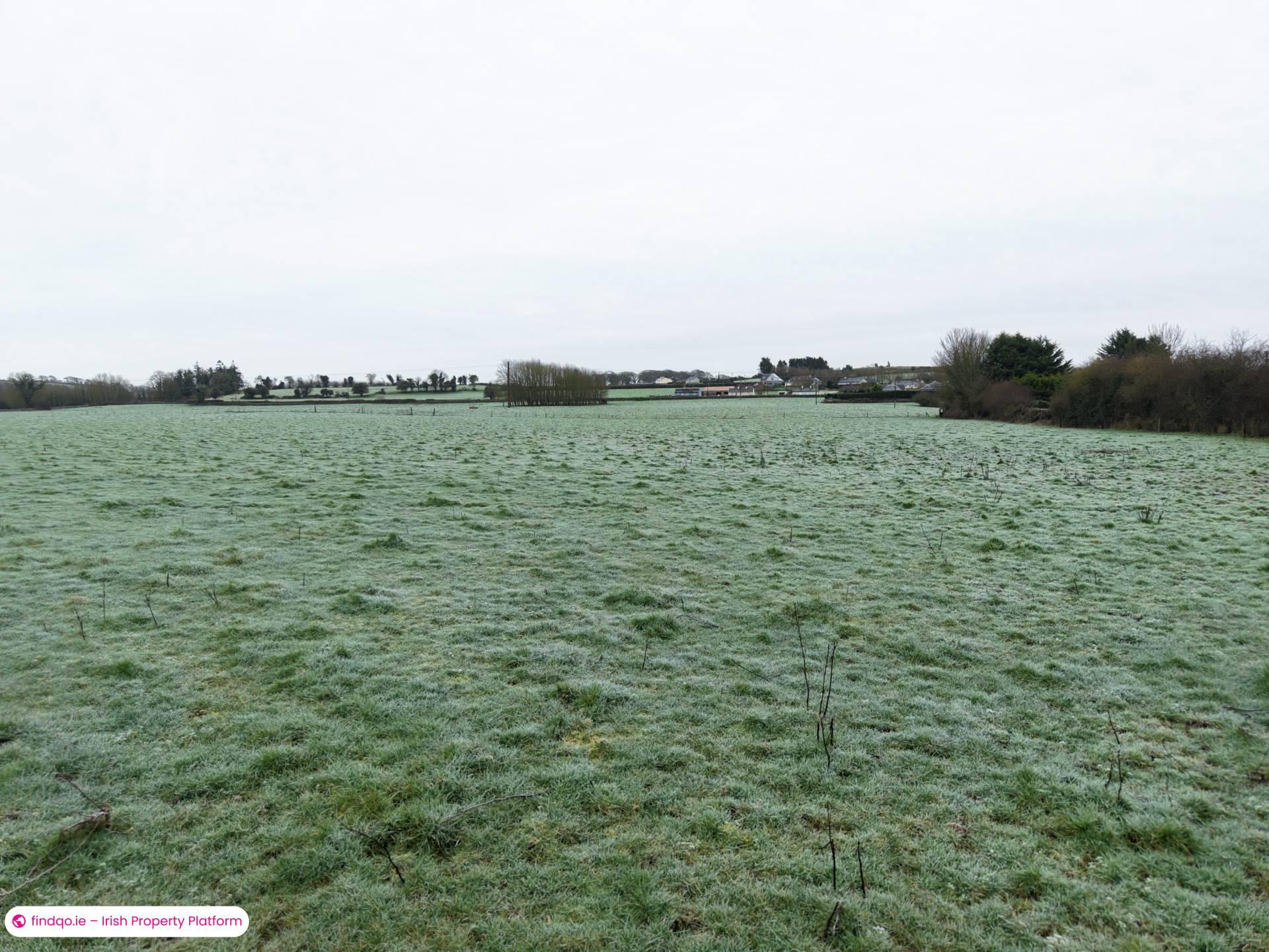 Agricultural Land for Sale in Killenaule, Tipperary