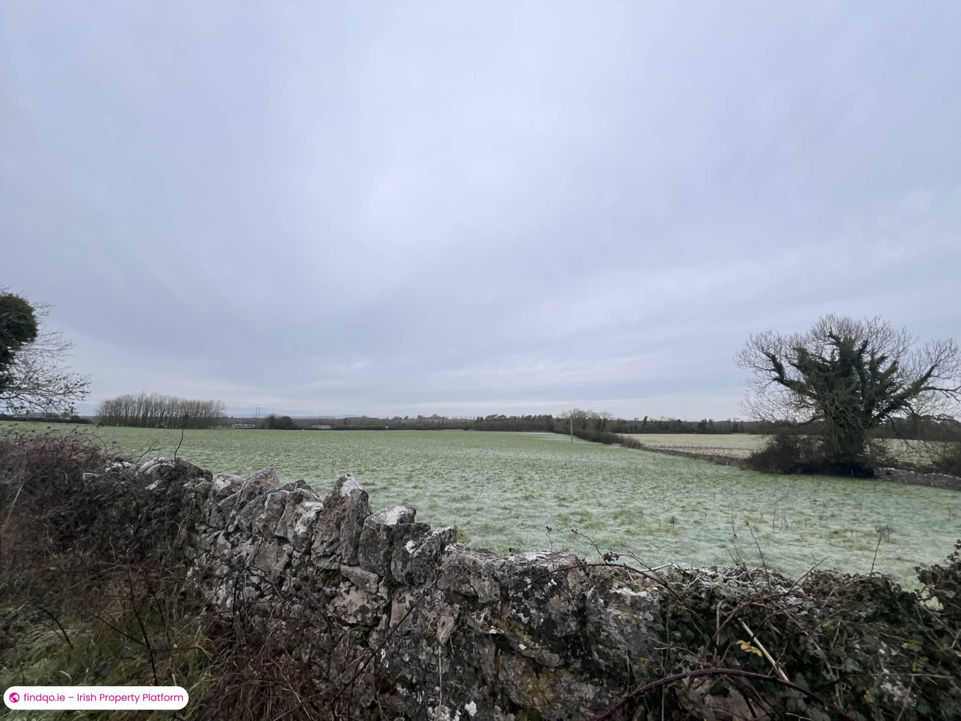 Agricultural Land for Sale in Killenaule, Tipperary