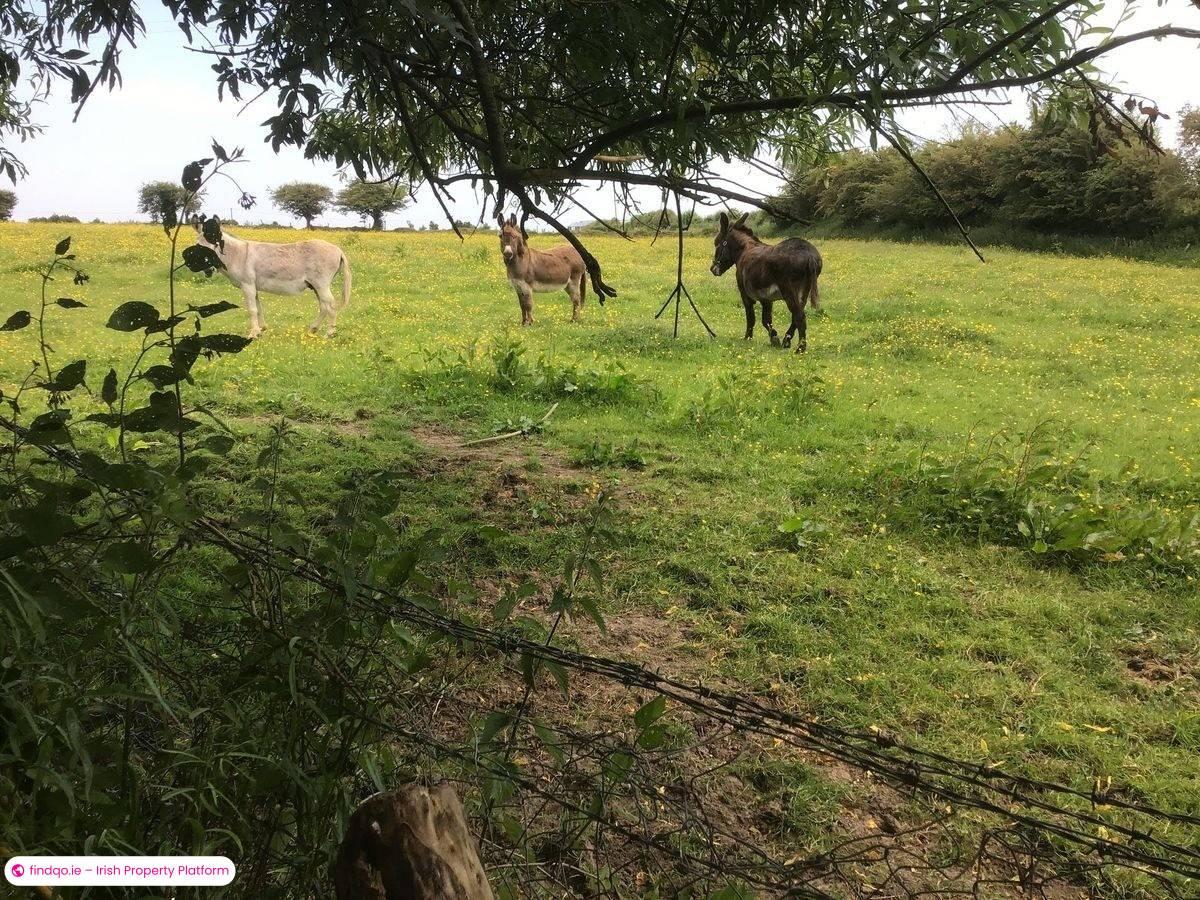 Detached house for Sale in Ballindine, Mayo