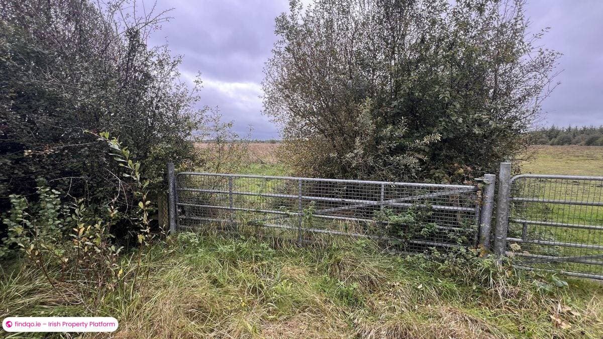 Agricultural Land for Sale in Ballinasloe, Galway