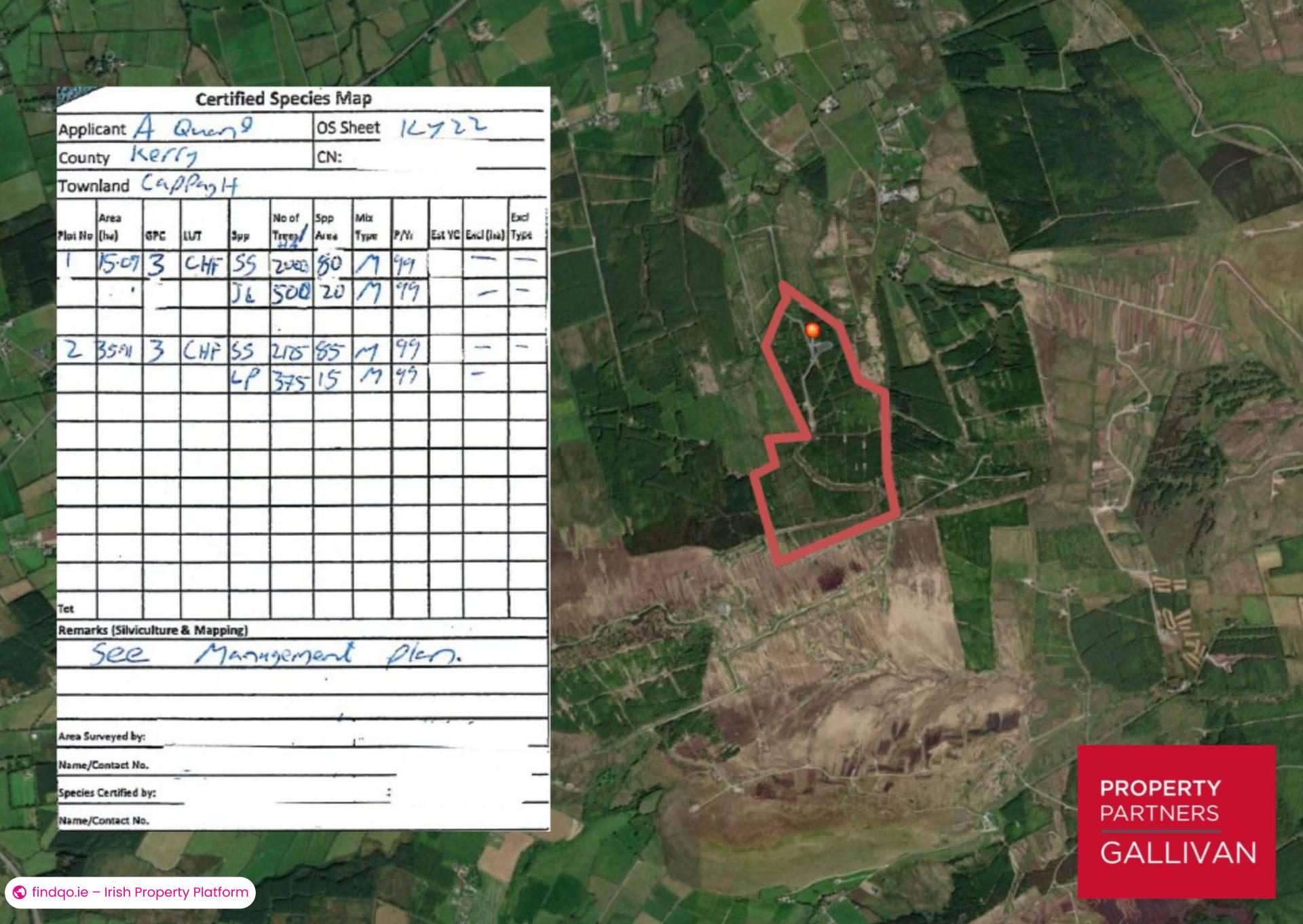 Agricultural Land for Sale in Kilflynn, Kerry