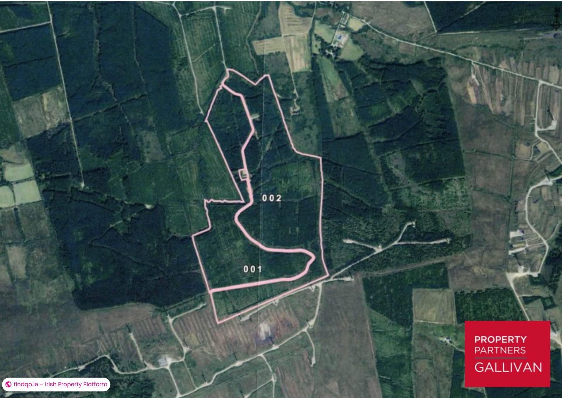 Agricultural Land for Sale in Kilflynn, Kerry