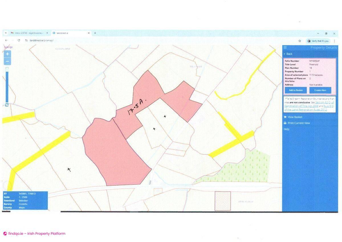 Agricultural Land for Sale in Brickeens, Mayo