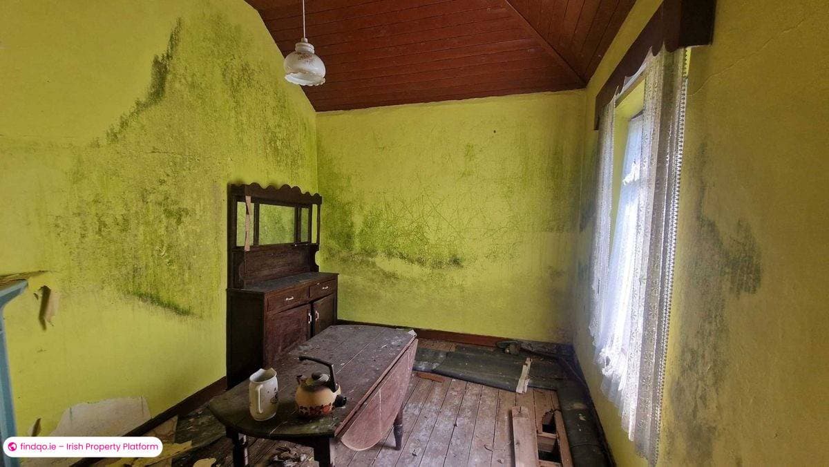 Agricultural Land for Sale in Mayo, Mayo