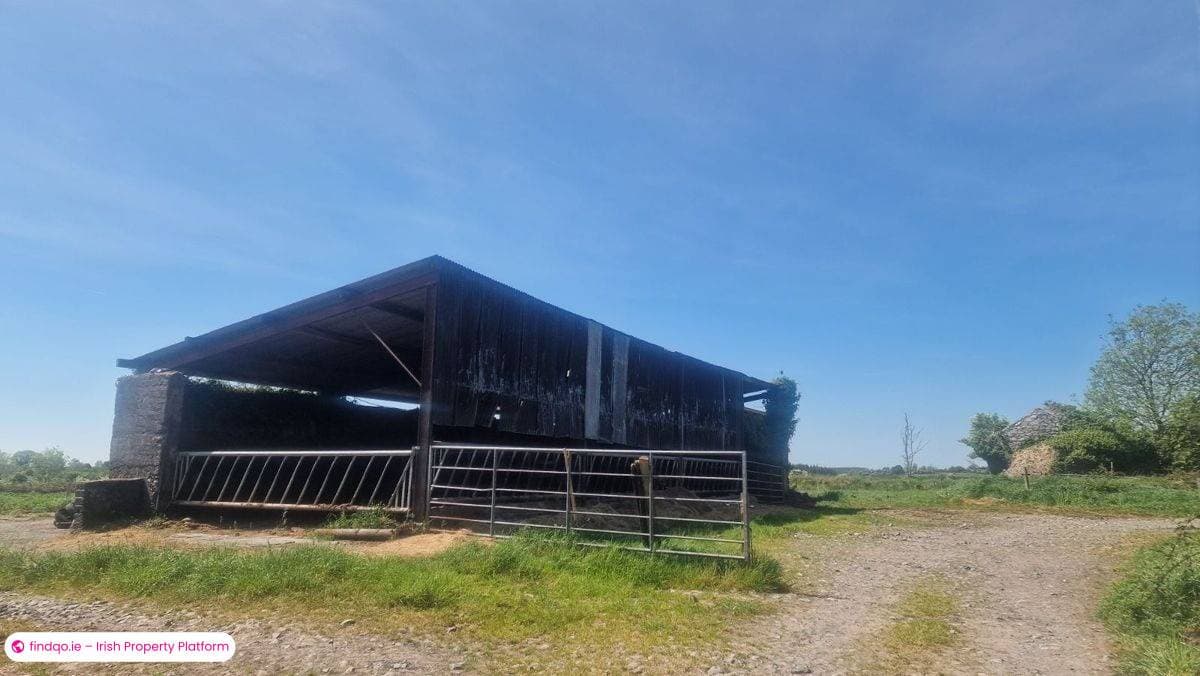 Agricultural Land for Sale in Castlerea, Roscommon