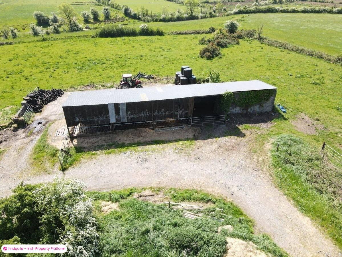 Agricultural Land for Sale in Castlerea, Roscommon