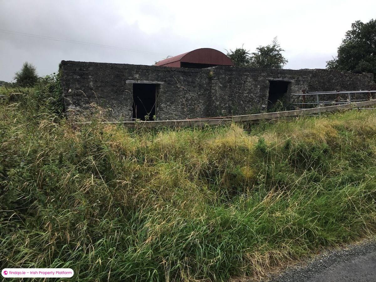 Agricultural Land for Sale in Ballyhaunis, Mayo