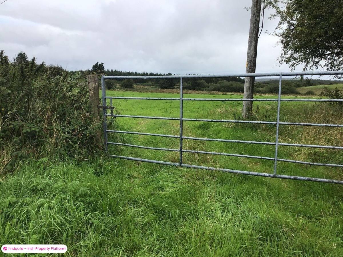 Agricultural Land for Sale in Ballyhaunis, Mayo